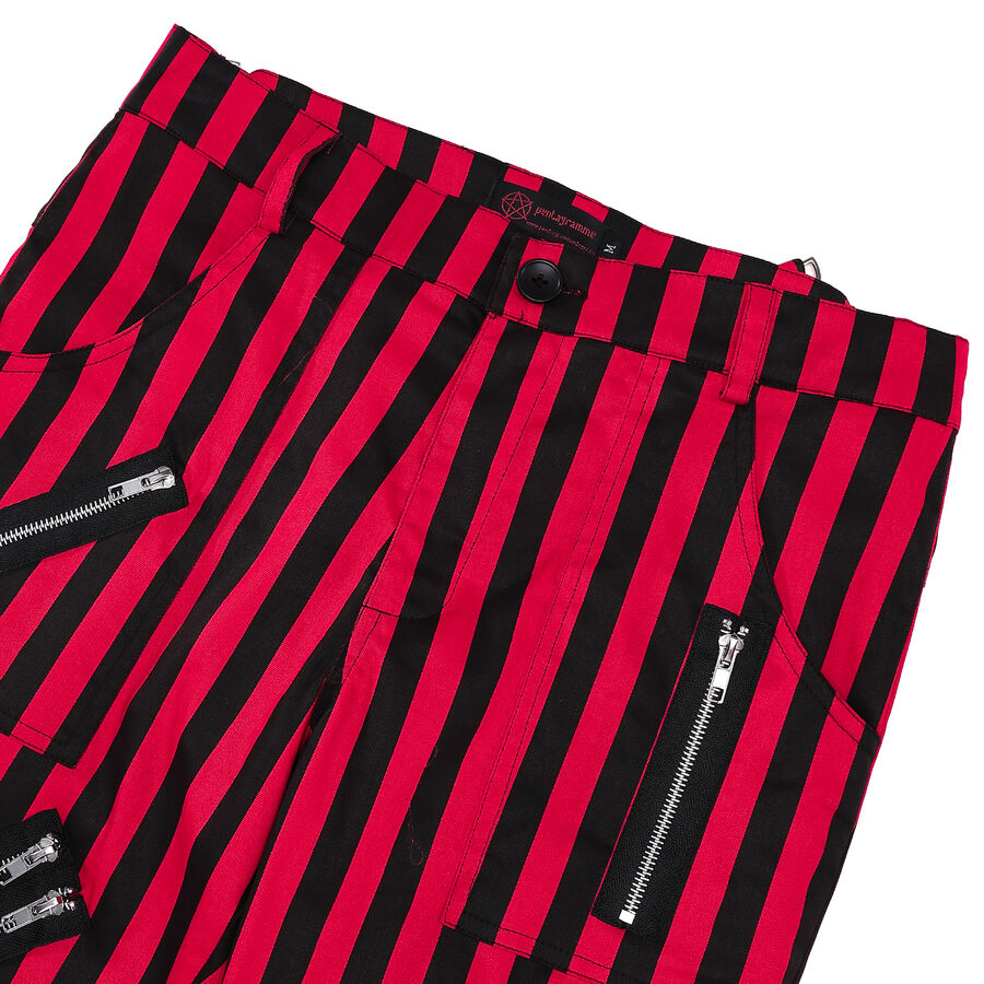 photo n&deg;3 : Pantalon Gothique Punk Rock a zips