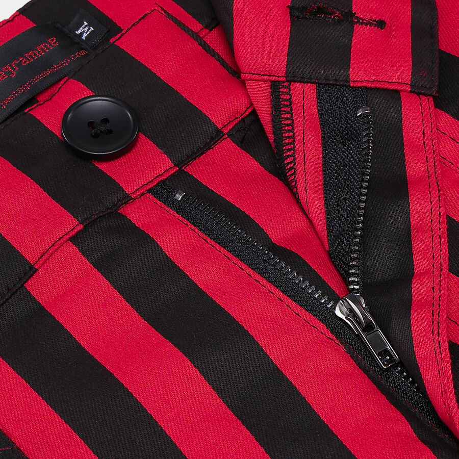 photo n&deg;4 : Pantalon Gothique Punk Rock a zips