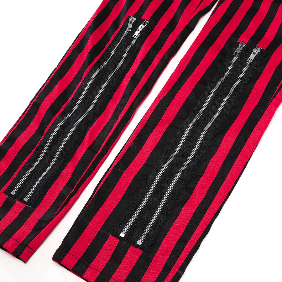 photo n&deg;5 : Pantalon Gothique Punk Rock a zips