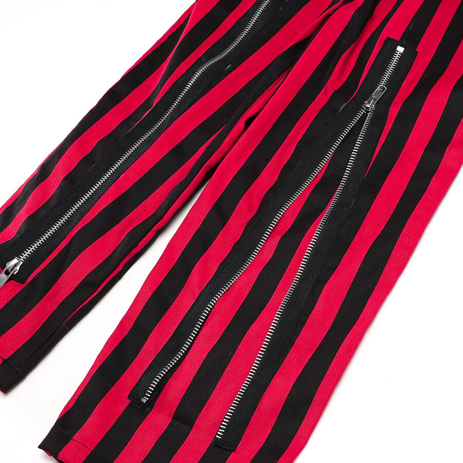 photo n&deg;7 : Pantalon Gothique Punk Rock a zips